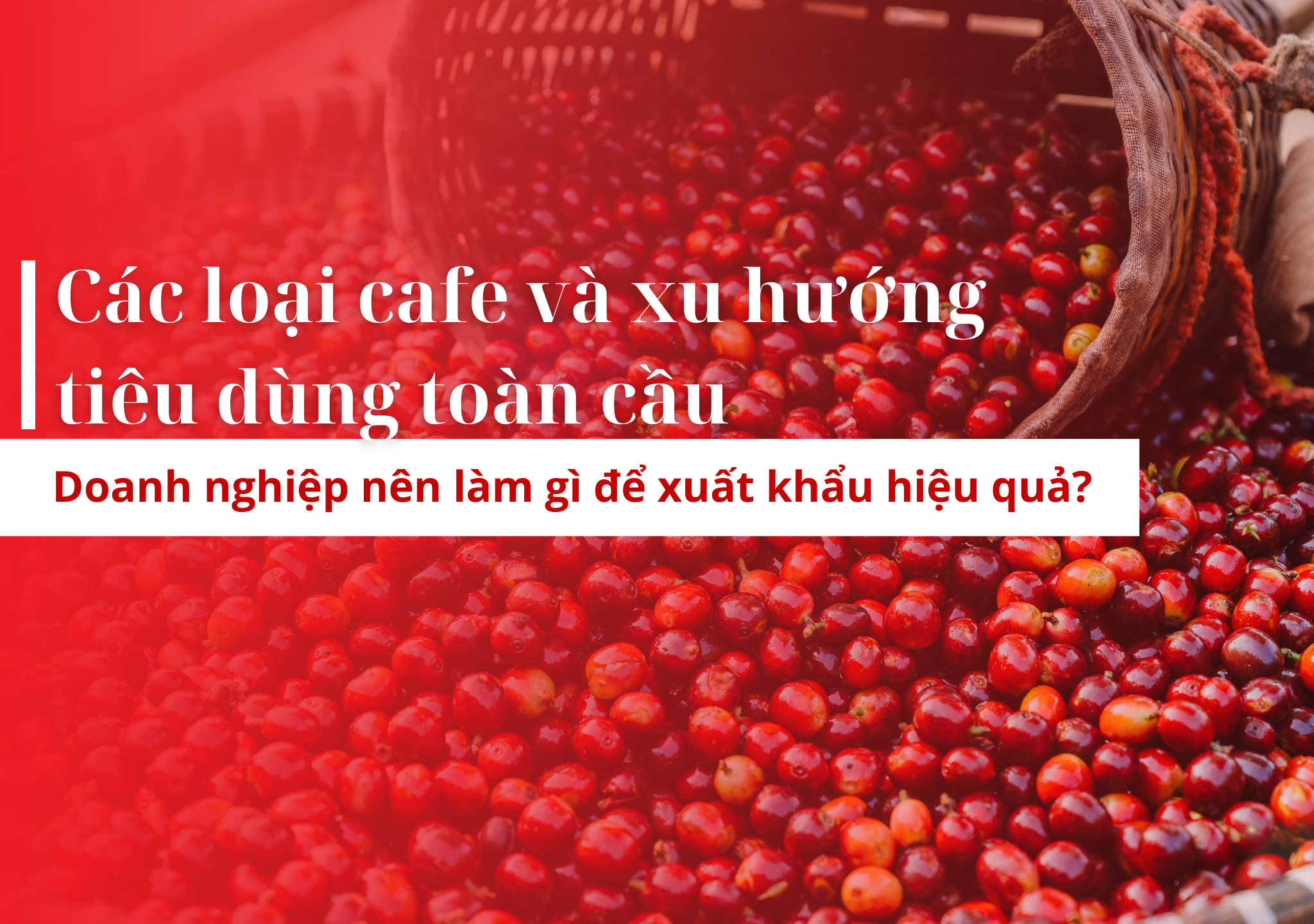 cafe, xuất khẩu cafe, xu hướng tiêu dùng cafe