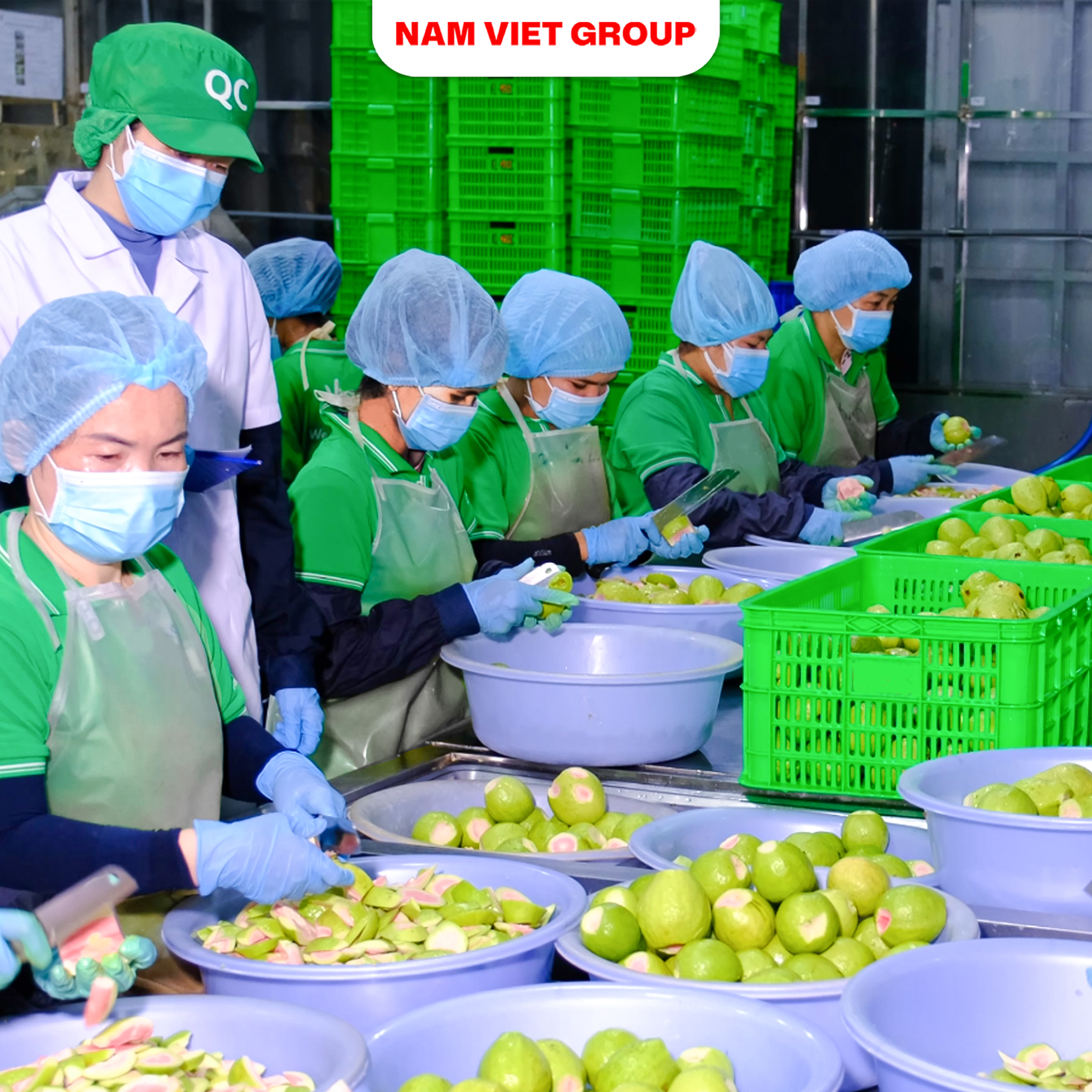 OEM, ODM, gia công nước giải khát