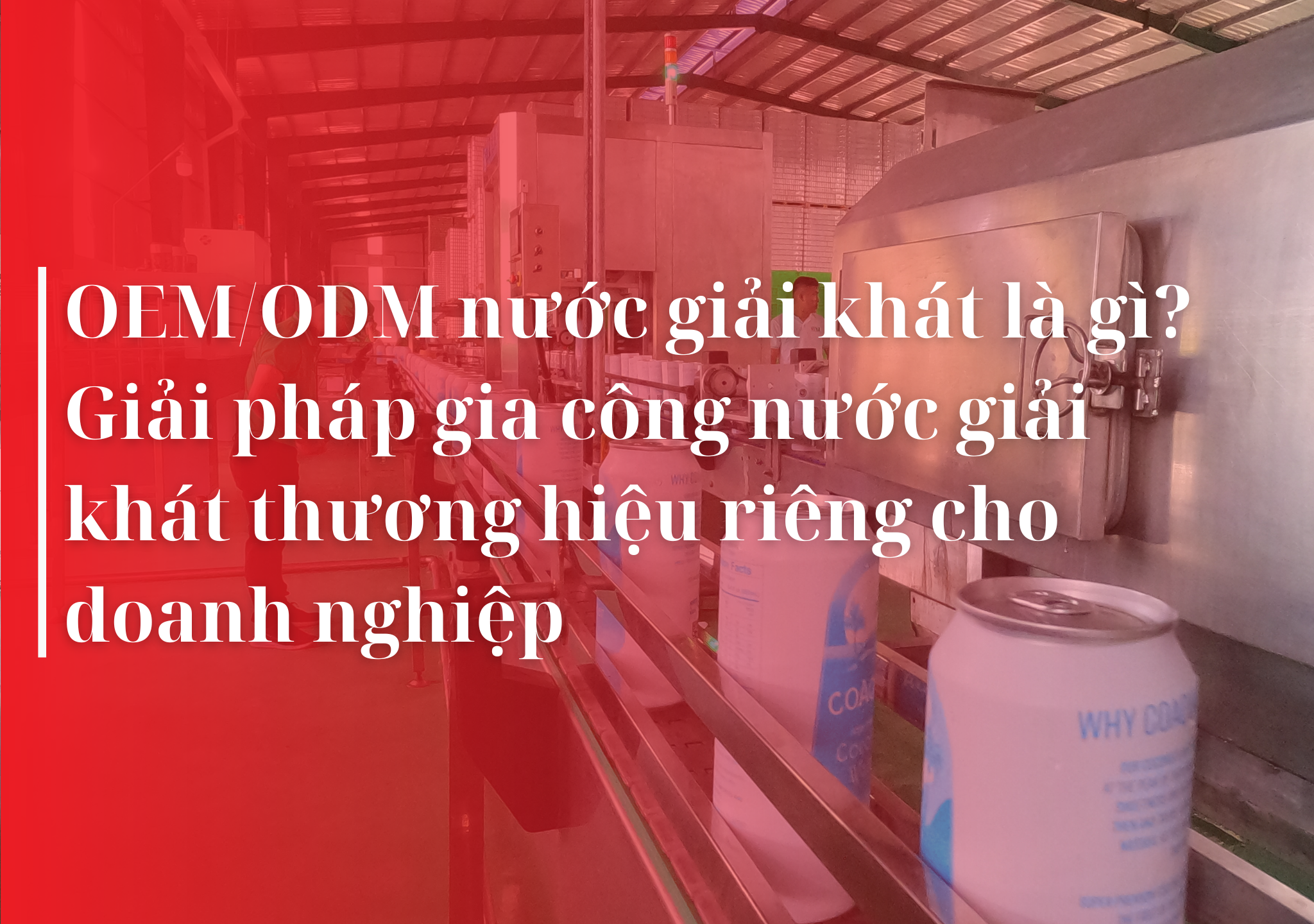 OEM, ODM, gia công nước giải khát