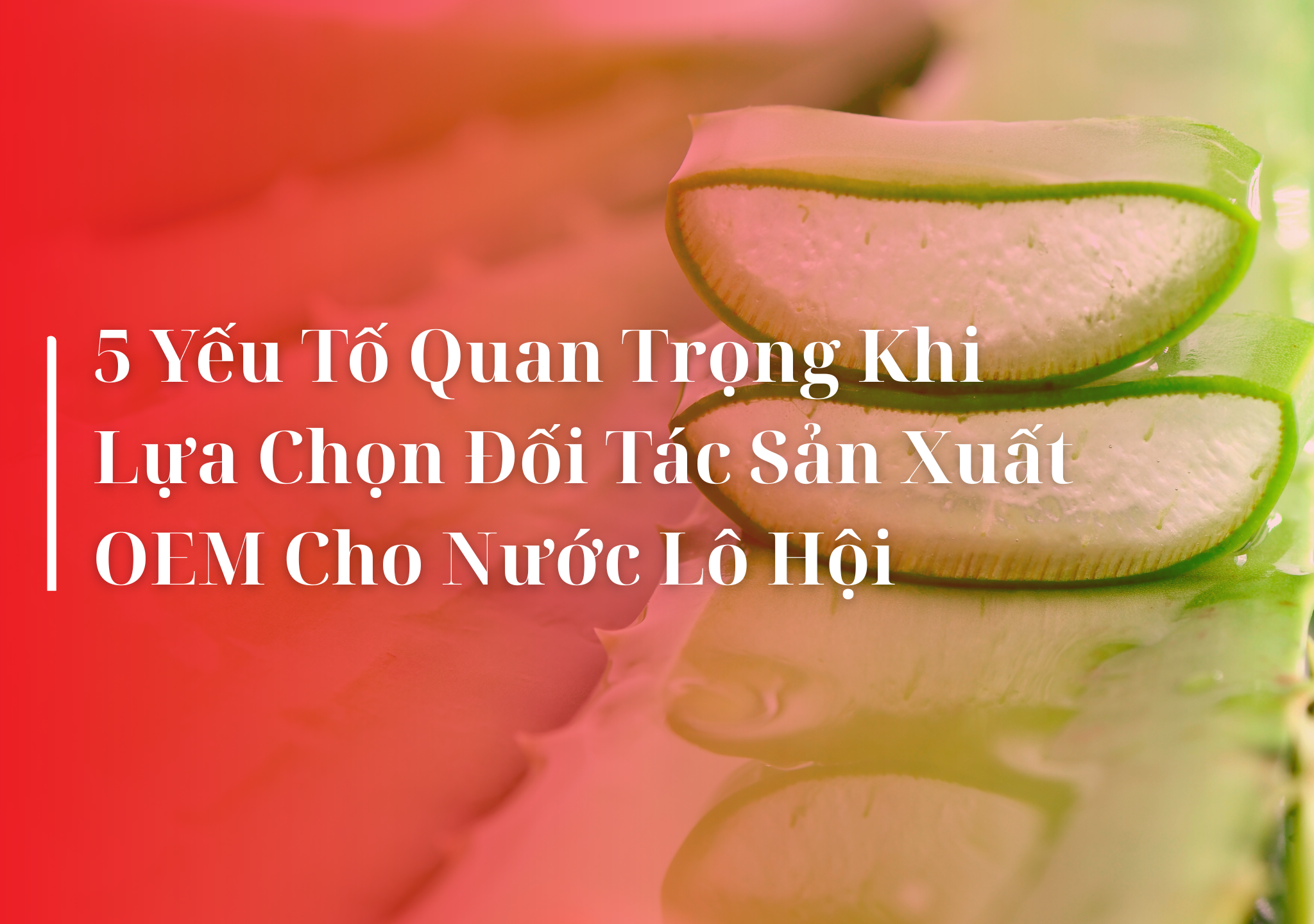 sản xuất nước nha đam, nước nha đam, OEM nước nha đam